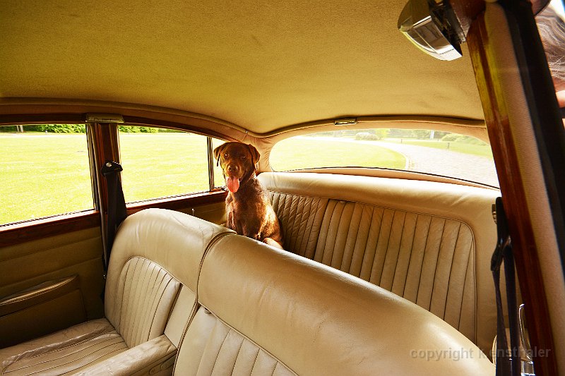 DSC_2539Wilma im Palast